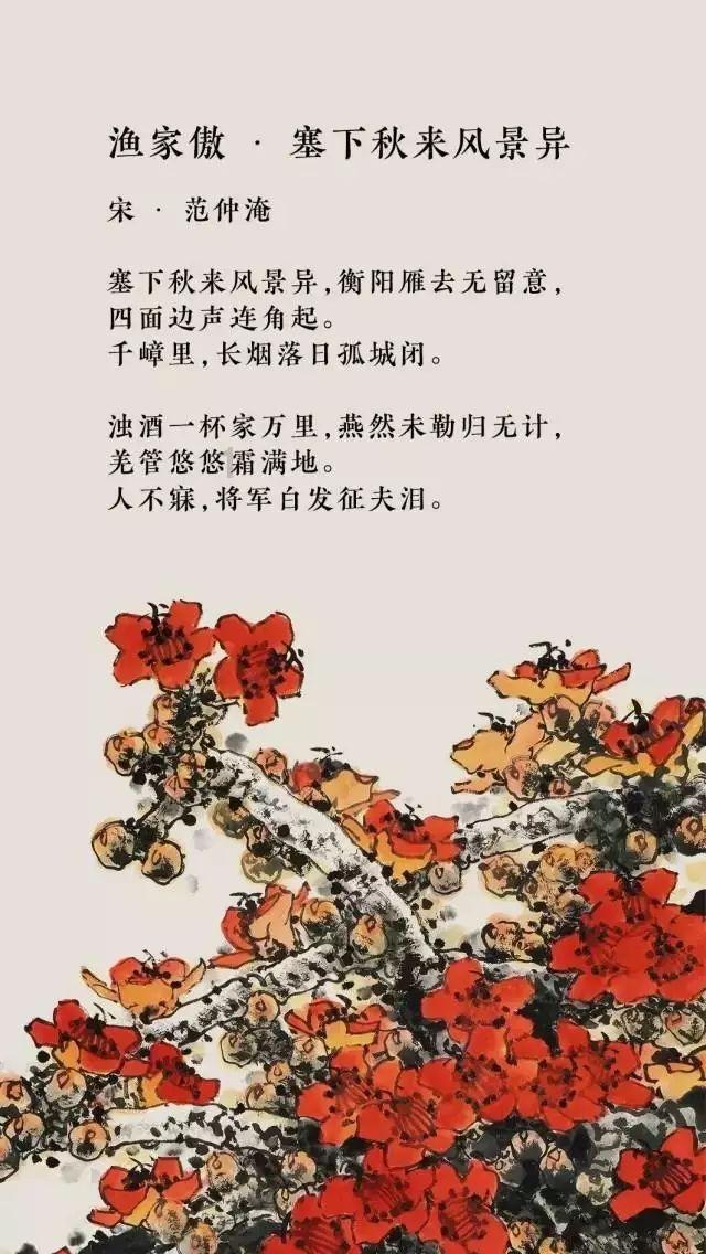 探索只有师范生才可以当老师么?,发现知识星球的魅力
